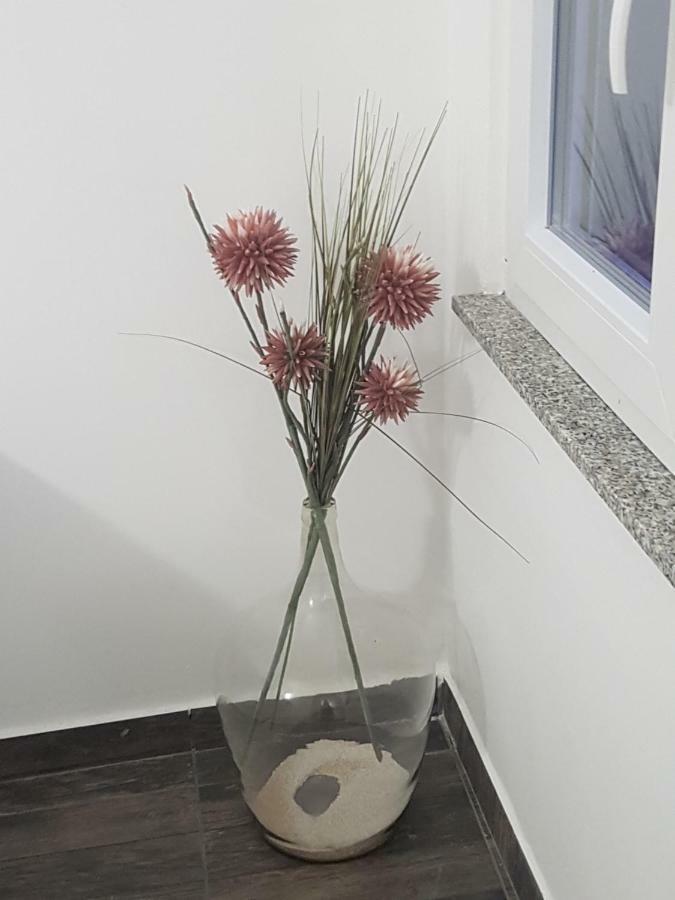 Vila Velvet Ξενοδοχείο Starigrad Paklenica Εξωτερικό φωτογραφία